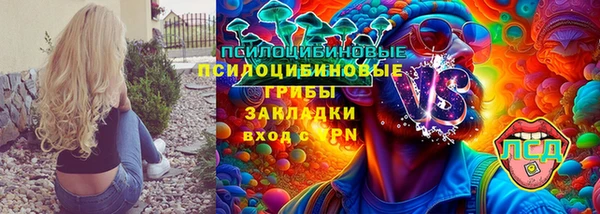 спиды Козловка