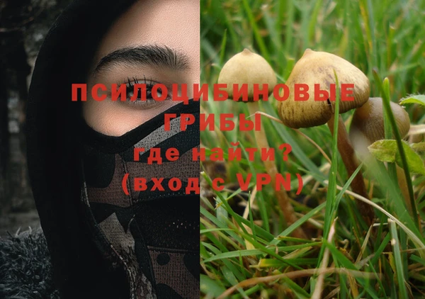 дживик Киренск