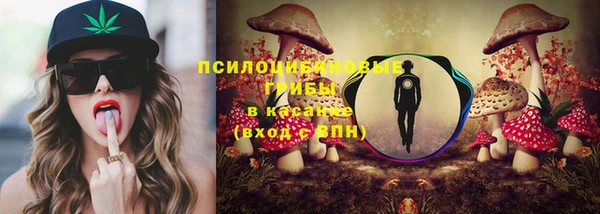 Альфа ПВП Тавда